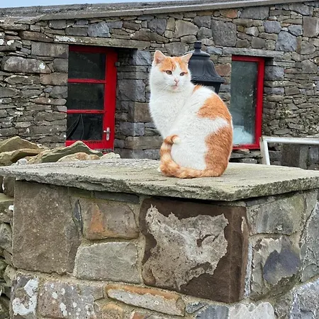 Radharc Soileir *
